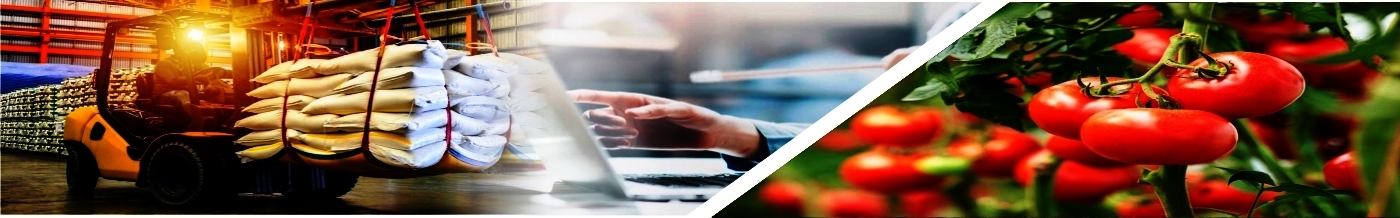 Growing Domestic Market